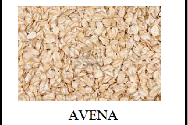 avena2B4FDD4CA-F7C3-70D2-5820-40F1E9284795.png